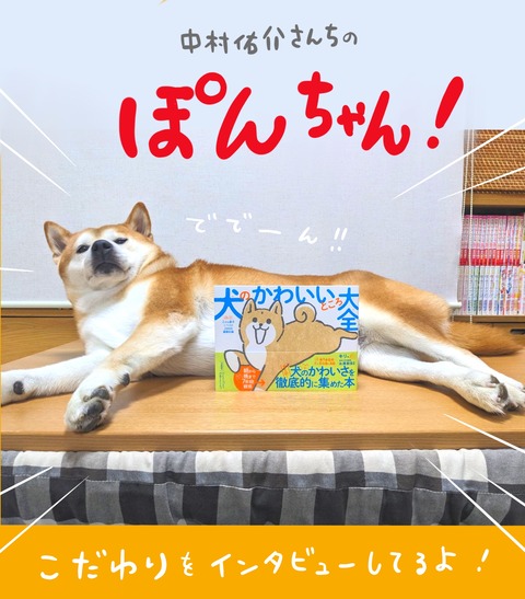 名称未設定のアートワーク 42