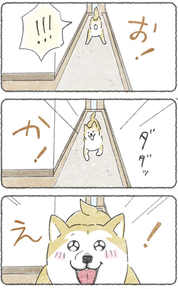 a 3