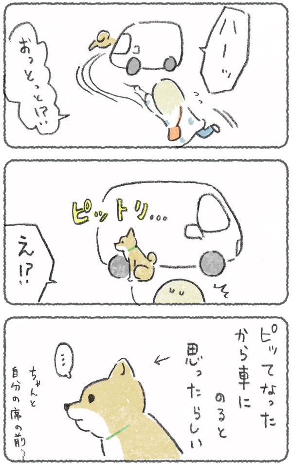 車のピに反応 2
