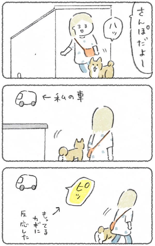 車のピに反応