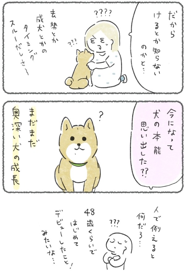 名称未設定のアートワーク 38 3