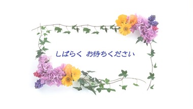 新潟　放送事故テレビ　画像