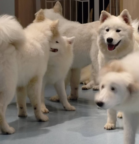 きりえ⚫10月シフト※追記あり！