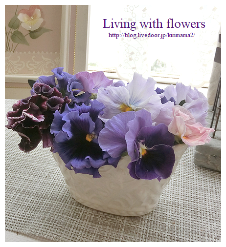 本日も晴天なり