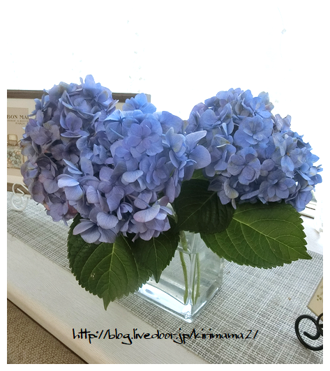 花のある暮らし 本日も晴天なり