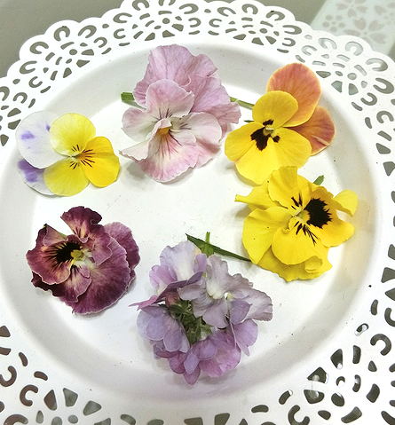 ドライフラワーを作ろう 本日も晴天なり