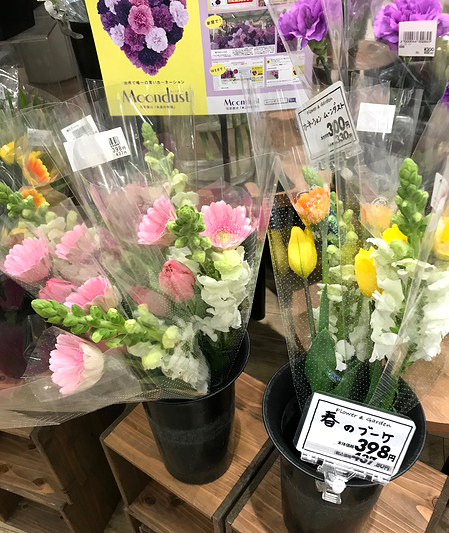 花のある暮らし 本日も晴天なり 花のある暮らし 本日も晴天なり