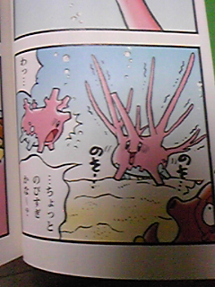 ３月２５日はサニーゴの日 オーガなブログ