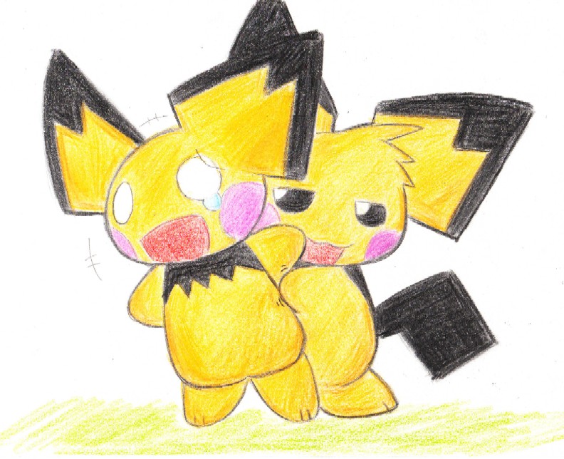 ピチュー兄弟 その2 オーガなブログ ピチュー兄弟 その2 オーガなブログ
