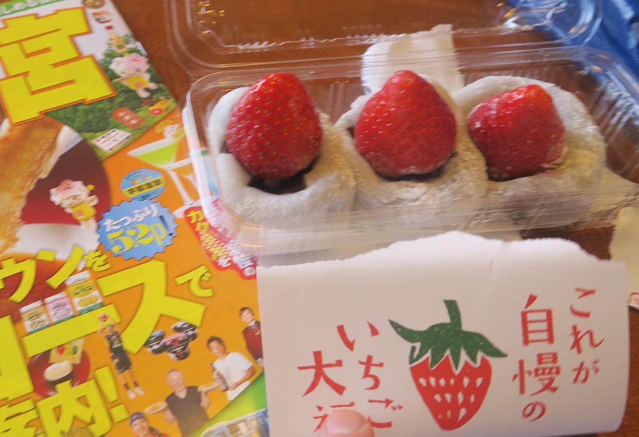イメージ 7