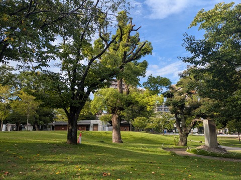 PXL_20250910_215117837