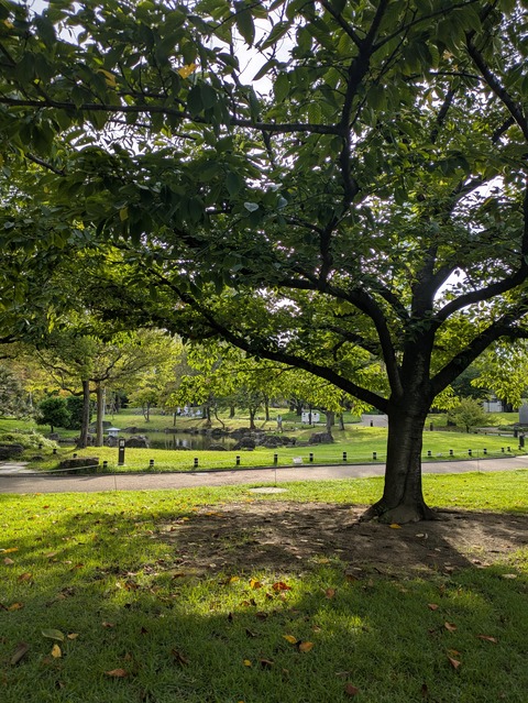 PXL_20250910_215825757