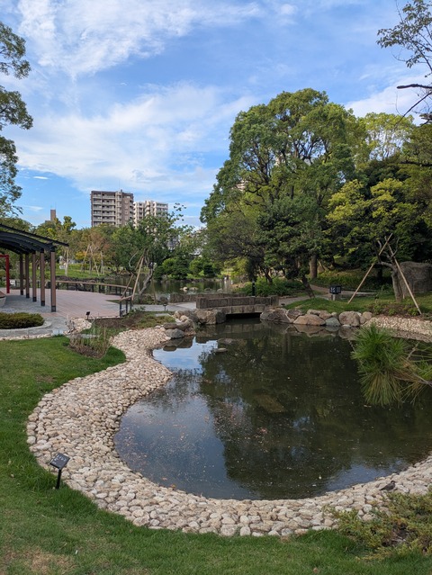 PXL_20250910_214507584