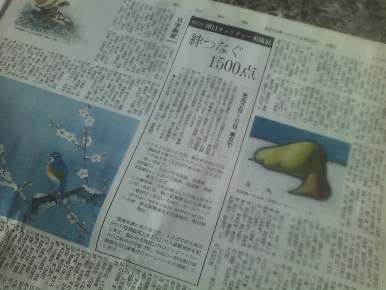 イメージ 1