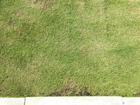 写真 2019-09-24 9 42 09