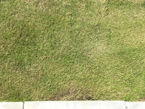 写真 2019-09-30 10 15 22