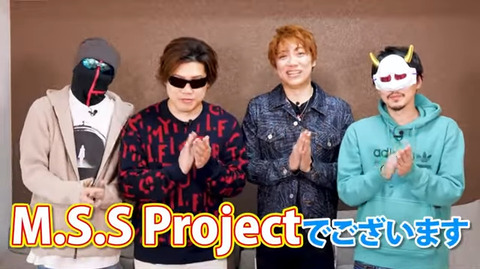 13M.S.S Project