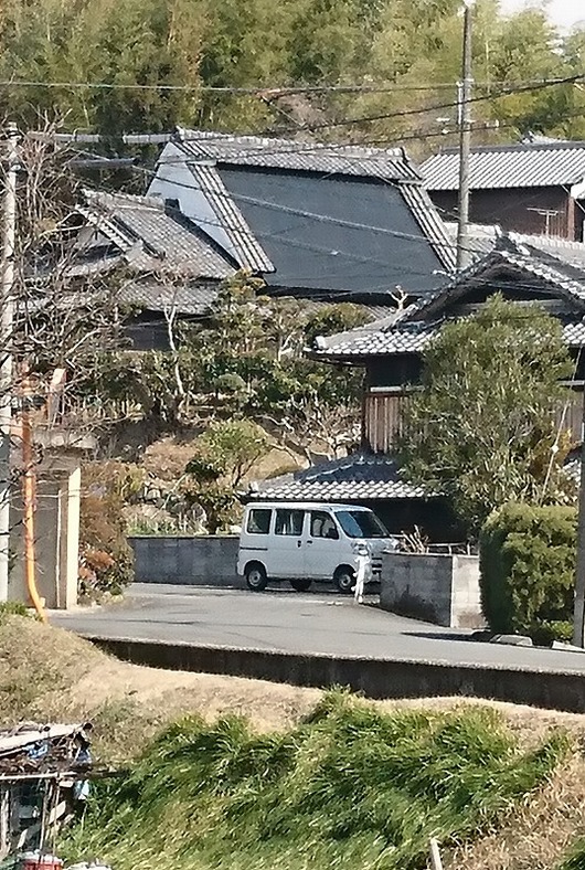 ����Թ⻳Į����̱�ȡ�������βȡ�˵��DSC_0908