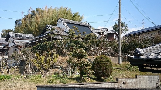 ����Թ⻳Į����̱�ȡ�������βȡ�˵��DSC_0903