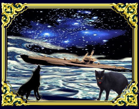 きまぐれな黒ネコ