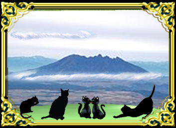 きまぐれな黒ネコ