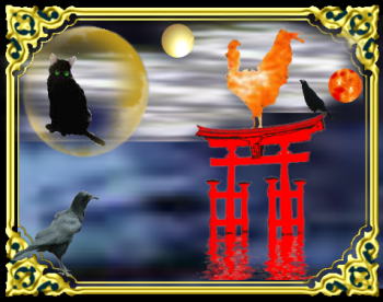 きまぐれな黒ネコ 言語と歴史