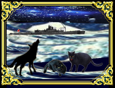 きまぐれな黒ネコ