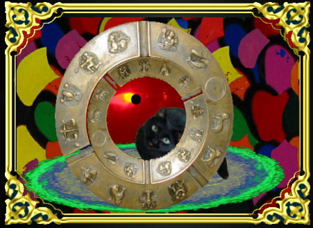 きまぐれな黒ネコ