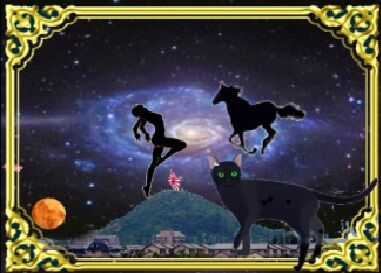 きまぐれな黒ネコ