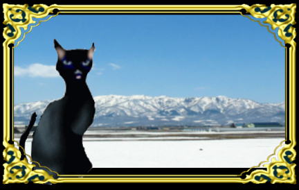 きまぐれな黒ネコ 言語と歴史