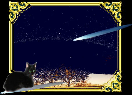 きまぐれな黒ネコ