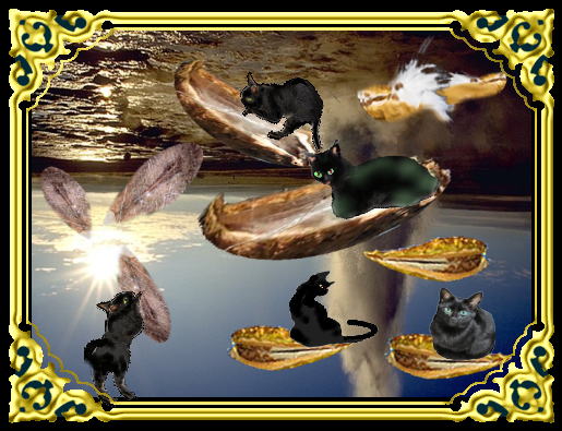 きまぐれな黒ネコ