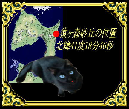 きまぐれな黒ネコ