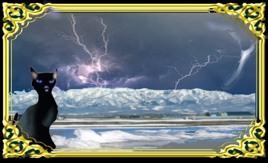 きまぐれな黒ネコ 言語と歴史