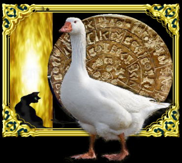 きまぐれな黒ネコ