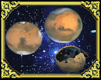 きまぐれな黒ネコ