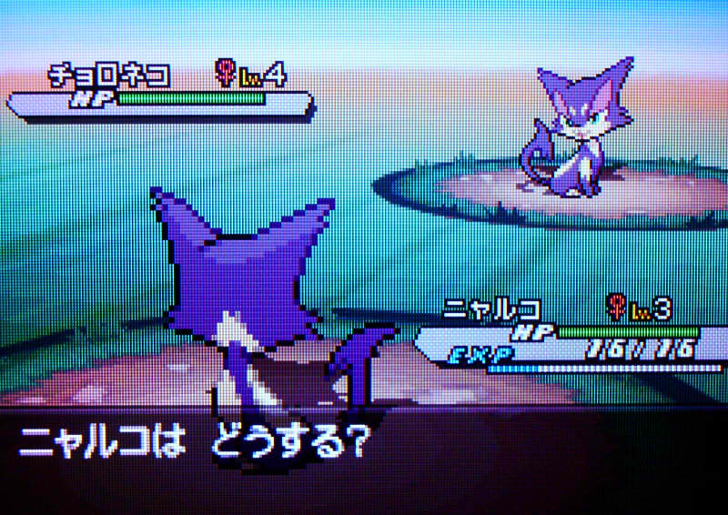 ポケモンbw2 ぶるのば