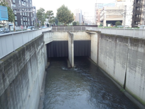 DCF00395