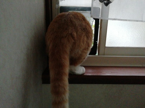 3c51aa75-ccf0-4cdf-9b4d-4100adf2a1ce-1_all_702