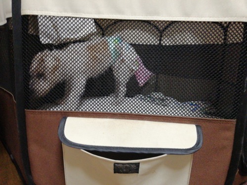 2e0c7a72-a2a6-4e90-9cce-10751b48f34f-1_all_14006