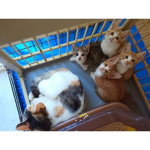 d3152afc-1ac5-4a98-9649-54cc8deae278imagemarker