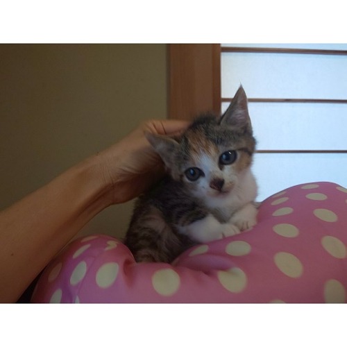 b8e8ae20-ca6f-433b-aa0f-f60d29539466imagemarker