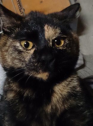 o0800142212806235462