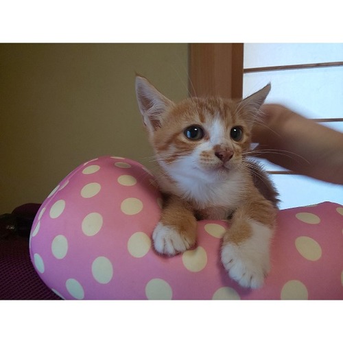 a5eebc6b-d06b-447b-8b9a-aa4d8eab7f44imagemarker