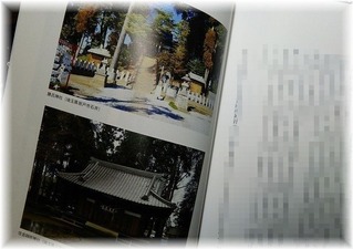 千鹿野家系譜考察 (2)