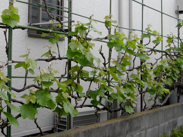 2cee8957.jpg