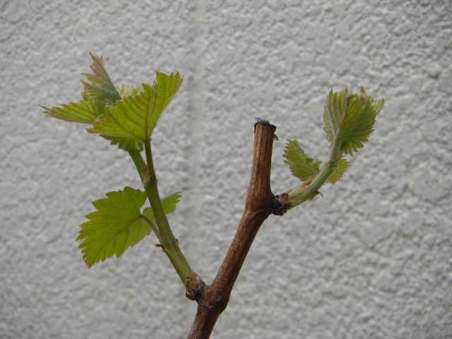 49f791e6.jpg