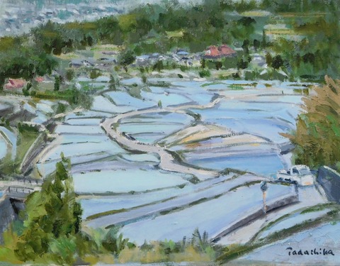 中野の棚田