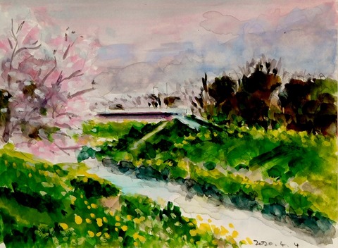 DSCN2534 (800x586)
