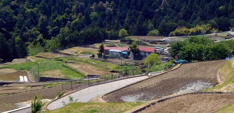 DSCN5336 - コピー